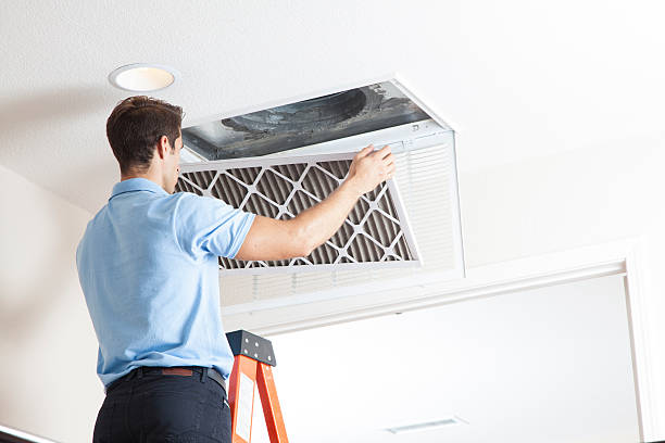 Best HVAC Maintenance Near Me  in Oquawka, IL